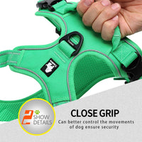 Truelove No Pull Dog Harness with Easy Control Handle and 2 Leash - X-Large / Grass Green - image 4