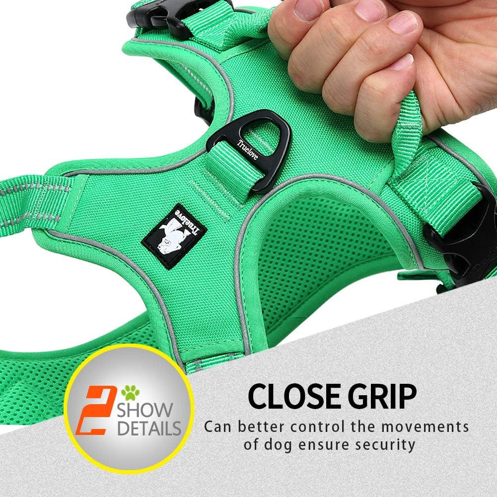 Truelove No Pull Dog Harness with Easy Control Handle and 2 Leash - X-Large / Grass Green - image 4