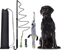 Flirt Pole Dogs, Dog Chase Toy with Squeakers Inside - Ball+Beaver