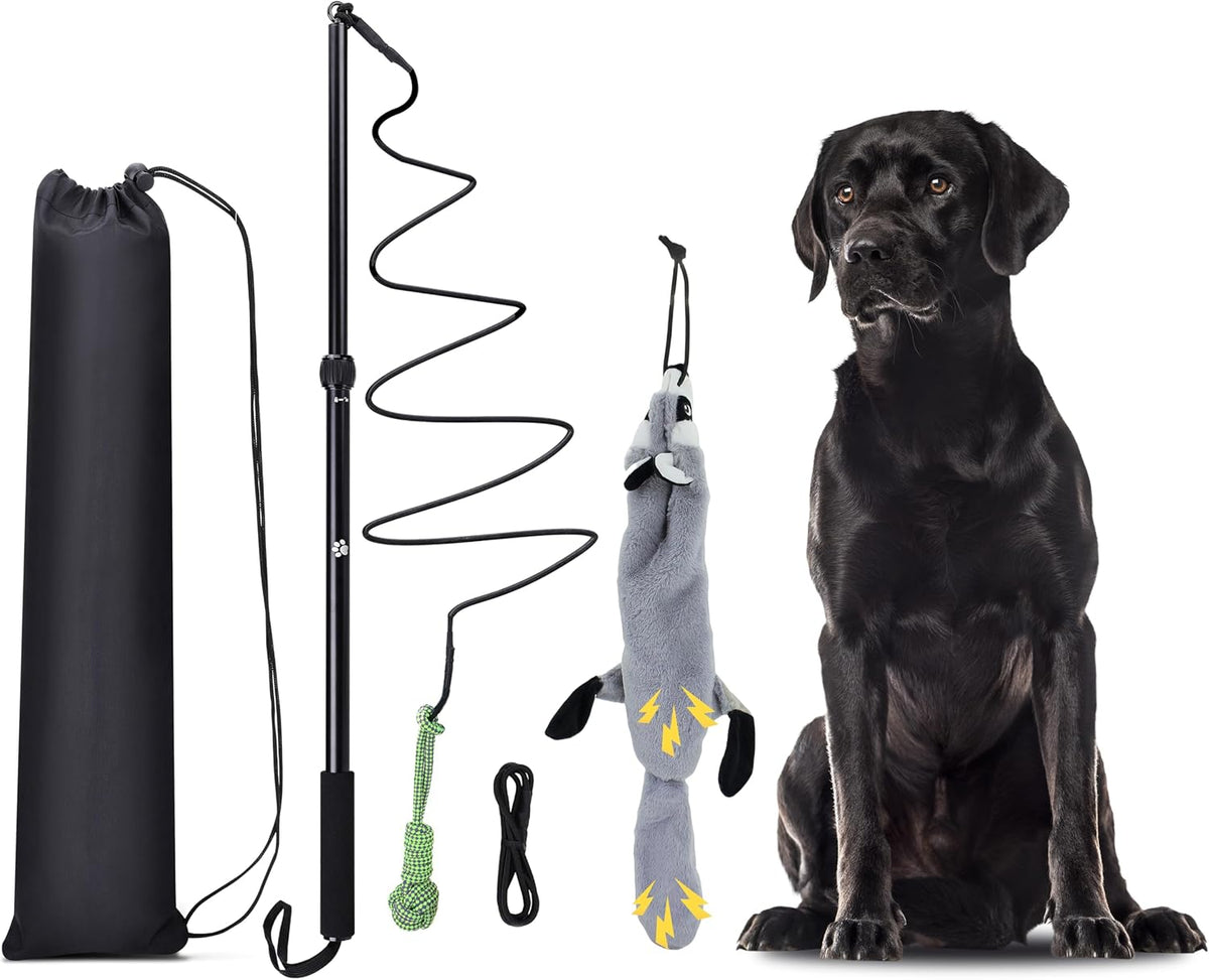 Flirt Pole Dogs, Dog Chase Toy with Squeakers Inside - Ball+Beaver