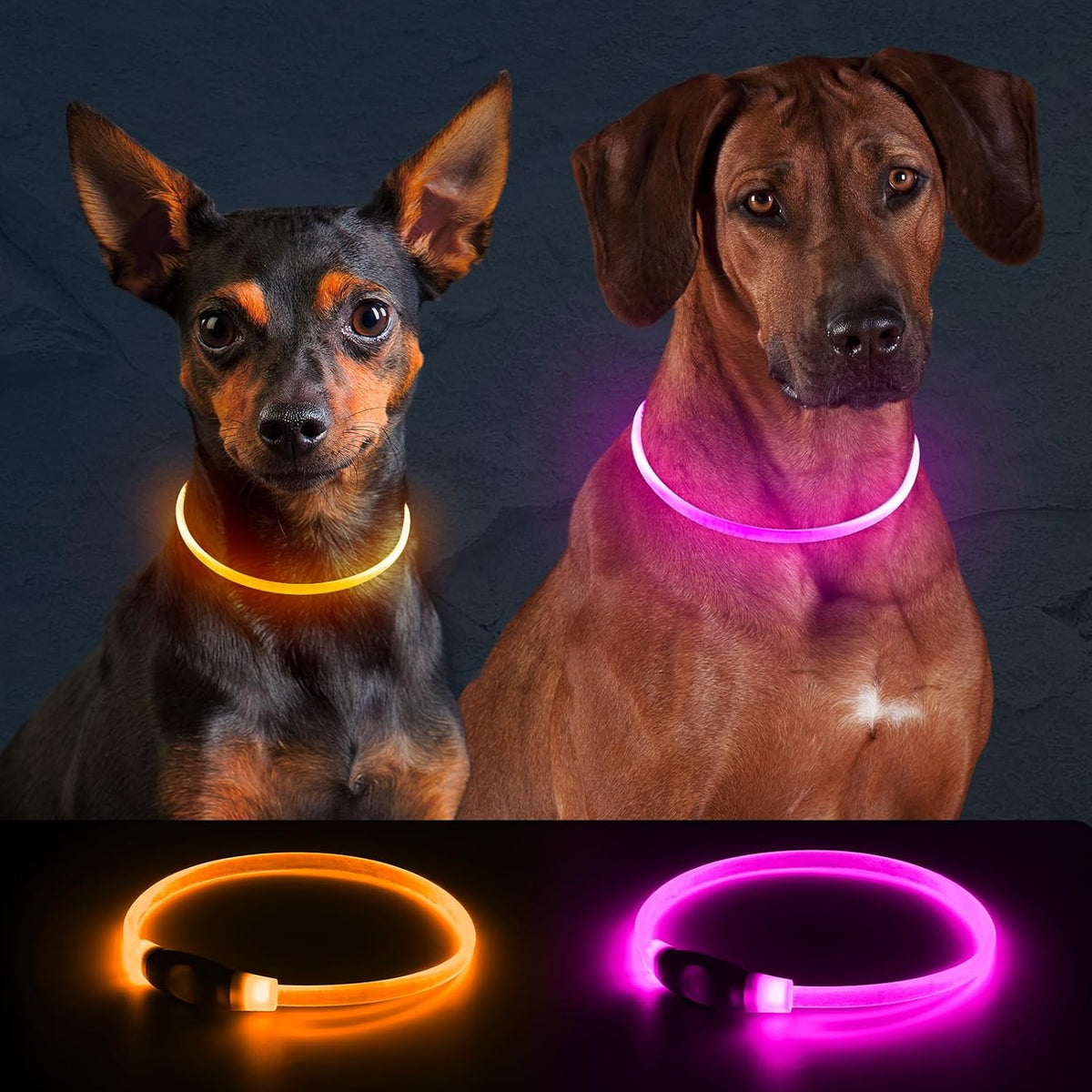 2 Packs Light Up Dog Collar - Pink+Orange - image 2