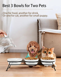 Anti-Vomiting Raised Cat Bowls - Ceramic 3 Bowl Set - image 2