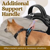 rabbitgoo Dog Harness for Large, No Pull 3 Buckles Easy On & Off – Essentials for Dogs - Black / Large - image 4