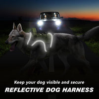Tactical Dog Harness for Large Dogs - Green / Medium: 30-50 lbs (Chest:24-28",Neck:17-19") - image 4