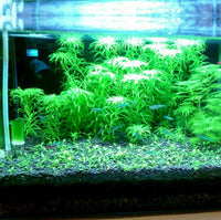 Hewnda 2 LB to Complete Freshwater Planted Aquarium Substrate – Daily Care for Fish - image 3