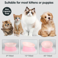 Raised anti-slip bulldog bowl with resin dish and adjustable silicone base - view 2