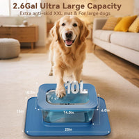 10L No Spill Dog Water Bowl Stainless Steel for Messy Drinkers – Essentials for Dogs - Blue - image 2