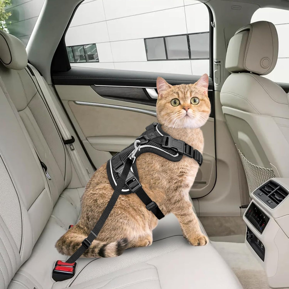 Cat Harness and Leash Set, Adjustable Cat Vest Harnesses – Essentials for Cats - Black / Medium - image 4