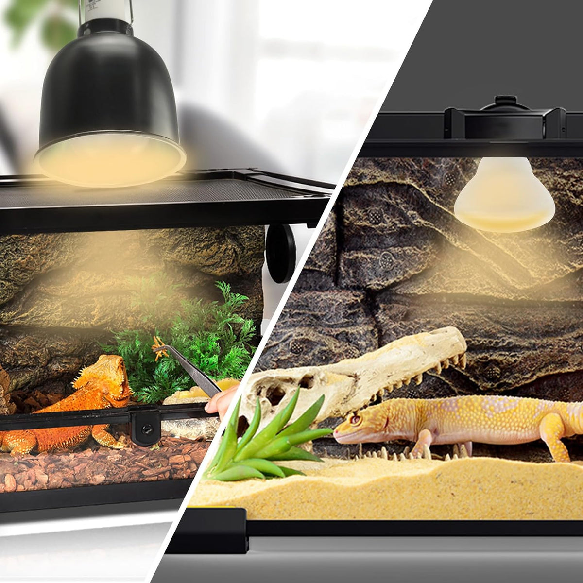 LUCKY HERP Heat Lamp Bulbs, 150W Reptile Heat Lamp 2 Pack - Reptile Heat Lamp / 150W 1-Pack - image 4