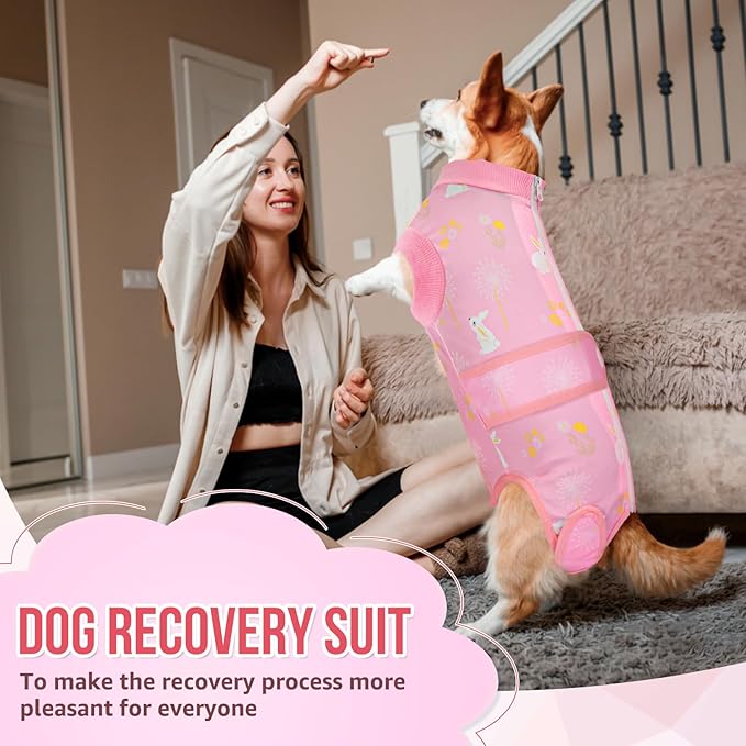 Lukovee Recovery Suit for Dogs, Zipper-On Onesie for Female Male Dog, Abdominal Wounds Cone E-Collar Alternative, Prevent Licking Spay (4XL, A-Pink)
