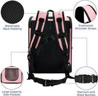 Apollo Walker Dog & Cat Carrier Backpack for 4-15lb Pets - Ventilated Safe Design with Padded Back Support, Breathable Mesh Pet Backpack for Hiking, Travel, Outdoor (Pink)