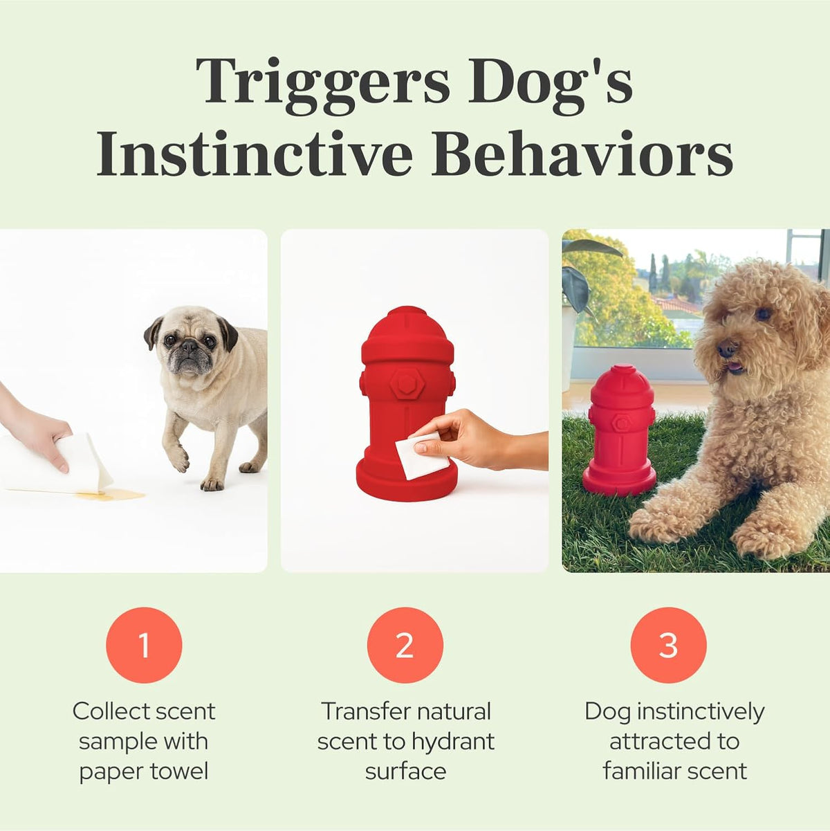Small Dog Fire Hydrant 4x7 Silicone Soft Potty Training Aid for Small - Grey - image 3