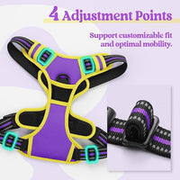 rabbitgoo Dog Harness No Pull with 2 Leash Clips, Adjustable Soft Padded, Reflective Oxford No Choke Pet Vest with Easy Control Handle for Large Dogs, Purple & Yellow, L