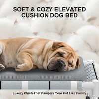 Elevated Dog Bed, Raised Cooling Lifted Dog Cot for Indoor & Outdoor – Essentials for Dogs - Cushion / (M-):34'' x 20'' 8'' - image 3