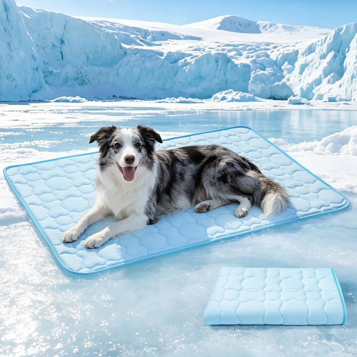 Mora Pets Dog Cooling Mat Instant Pet Cooling Pad Bed for Large Dogs - Light Blue / 40-Inch (Large)