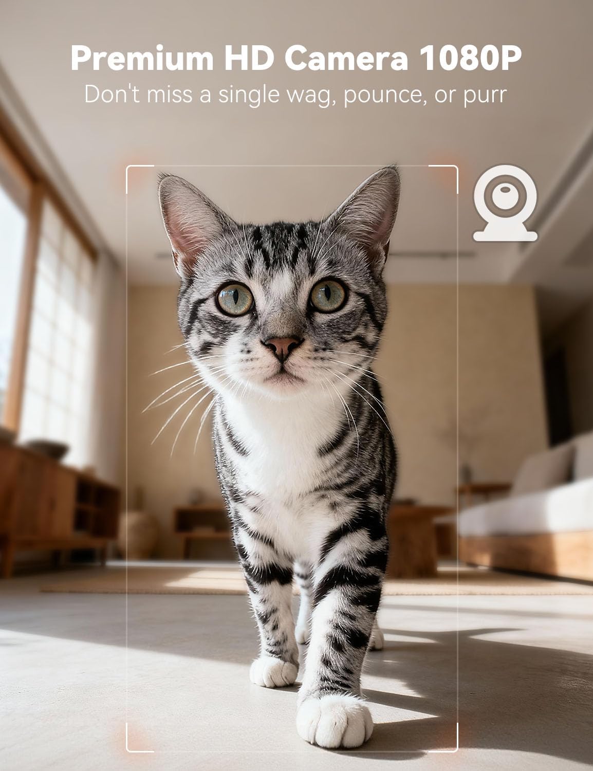 WOPET Automatic Cat Feeder with Camera for Two Cats, 2-Way Audio - White / Camera - image 4