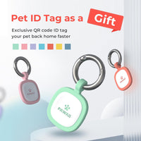 Pawaii Small Dog Bowl, 12 oz Stainless Steel Food and Water Bowl, 1 Pack – Essentials for Dogs - 34oz / Mint Green - image 4