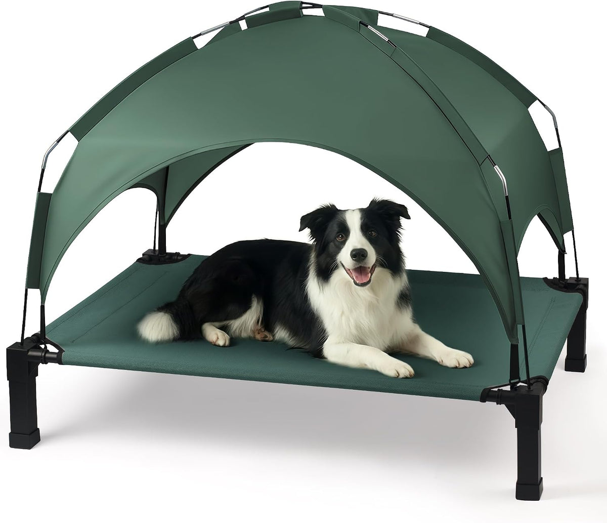 Elevated Dog Bed with Removable Canopy - Green / 42"L x 30"W x 8.4"H