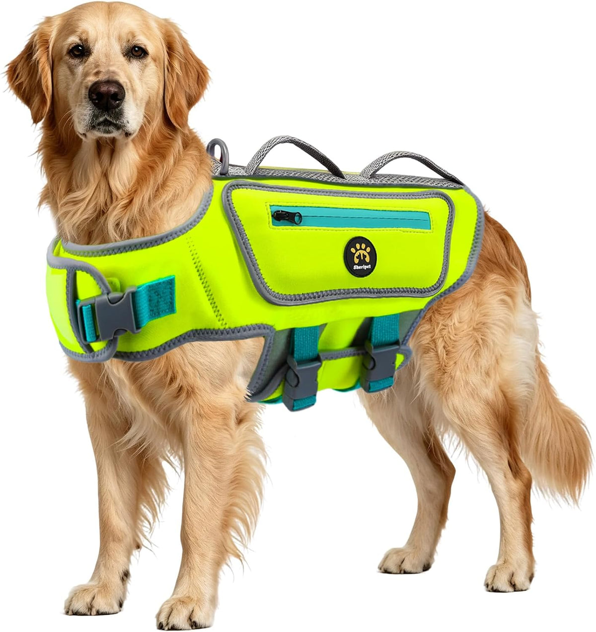 Dog Life Jacket, Good Visibility Pet Swimming Vest for Boating L – Essentials for Dogs - Green / Large
