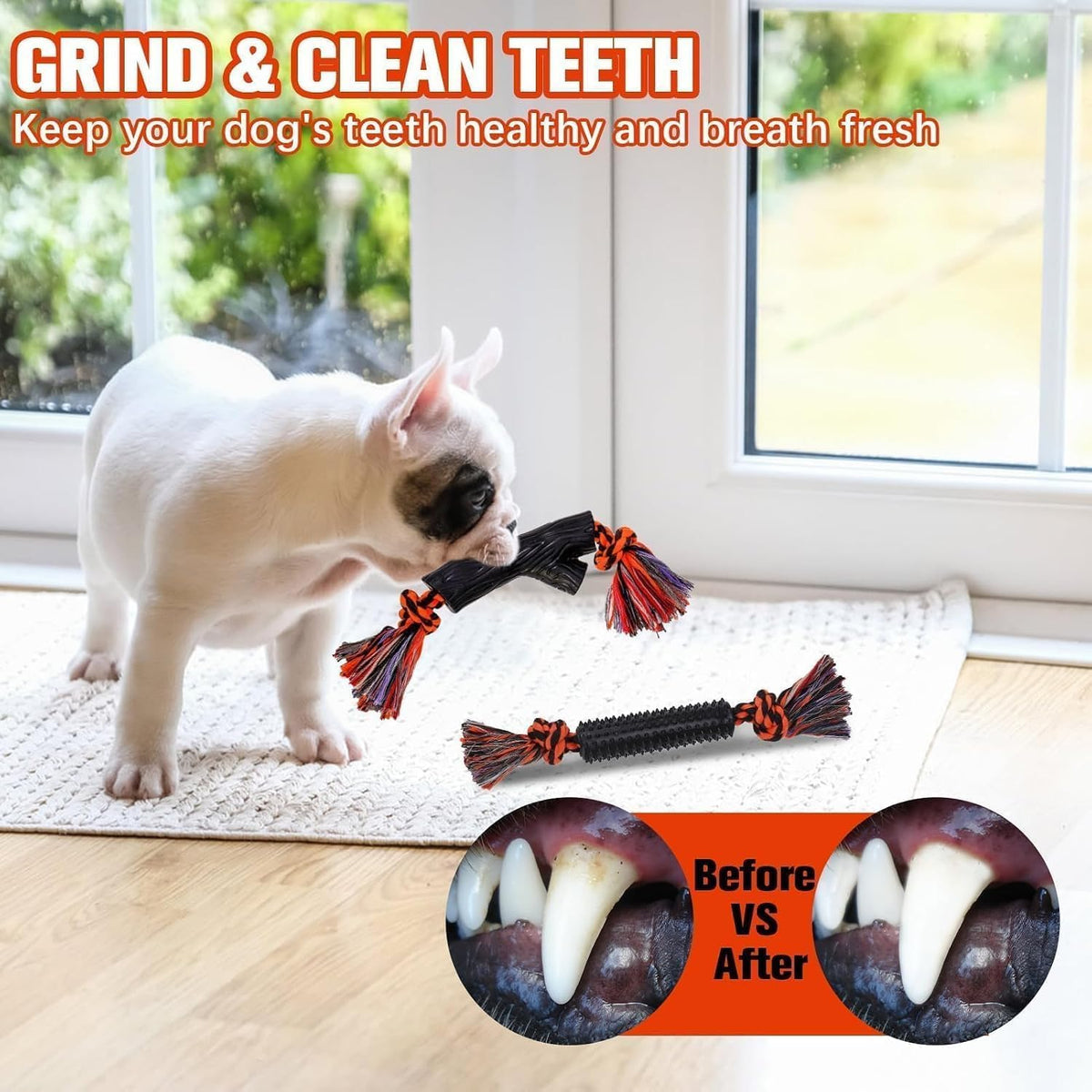 BINGPET 8 Pack Halloween Dog Cotton Rope & Rubber Chew Toys – Essentials for Dogs - Halloween Black - image 3