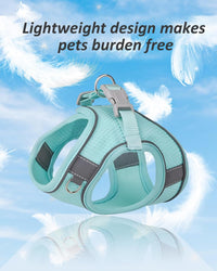 Solmoony Dog Harness, No Pull, Mesh for Small Medium Dogs - Green / XXXS - image 3