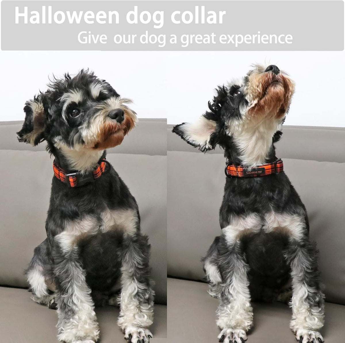 ARING PET Halloween Dog Collar-Cute Fall Dog Collar for Small Dogs - Large / Fall Black Orange Grid - image 4