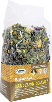 Pasture Plus+ Dandelion Delicacy - Healthy Natural High-Fiber Dried Flower Treat - Squirrels, Guinea Pigs, Rabbits, Chinchillas, Prairie Dogs, Degus, Hamsters, Gerbils & Other Small Pets