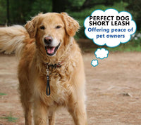 Short Dog Leash - 9 Inch Dogs Lead Grab Tab Heavy Duty Waterproof PVC Dog Training Traffic Leashes - 9'' / Green - image 2