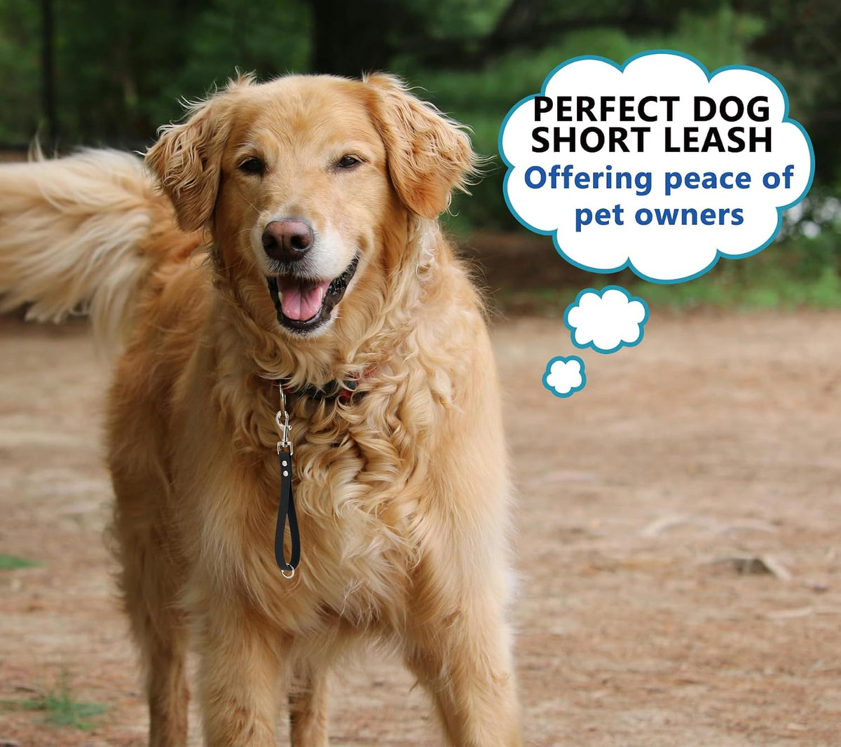 Short Dog Leash - 9 Inch Dogs Lead Grab Tab Heavy Duty Waterproof PVC Dog Training Traffic Leashes - 9'' / Green - image 2