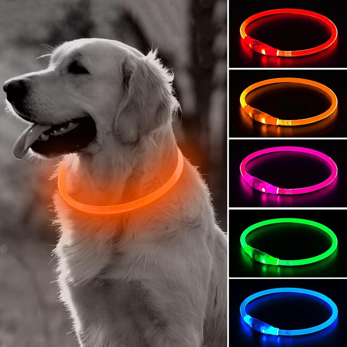 Light Up Dog Collar – Essentials for Dogs - Orange (70cm)