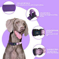 Roses&Poetry Reflective Dog Collar with Gradient Mistyrose - L / LightPurple - image 2
