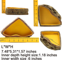 Reptile Feeder Resin Bowl Amphibian Reptile Bowl for Lizard Gecko - image 2