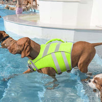 Kuoser Reflective Dog Life Jacket - S (Chest Girth:16.9-21.3'') / Green - image 3
