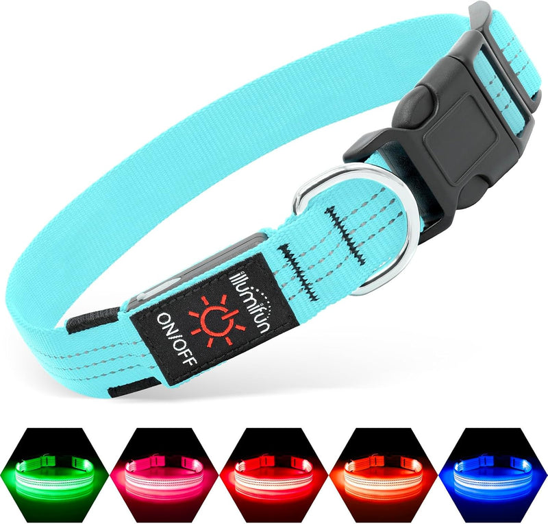 Illumifun LED Dog Collar, USB-C Rechargeable Light Up Collar Glow in Dark, Adjustable Pet Safety - BlueⅢ / Large
