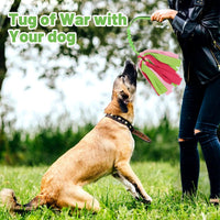 wodoca Interactive Dog Toys - Green - image 4