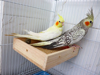 Bird Feeding Cups, Natural Wooden Parrot Perch Stand - 7.9 × 5.9 Inch - image 4
