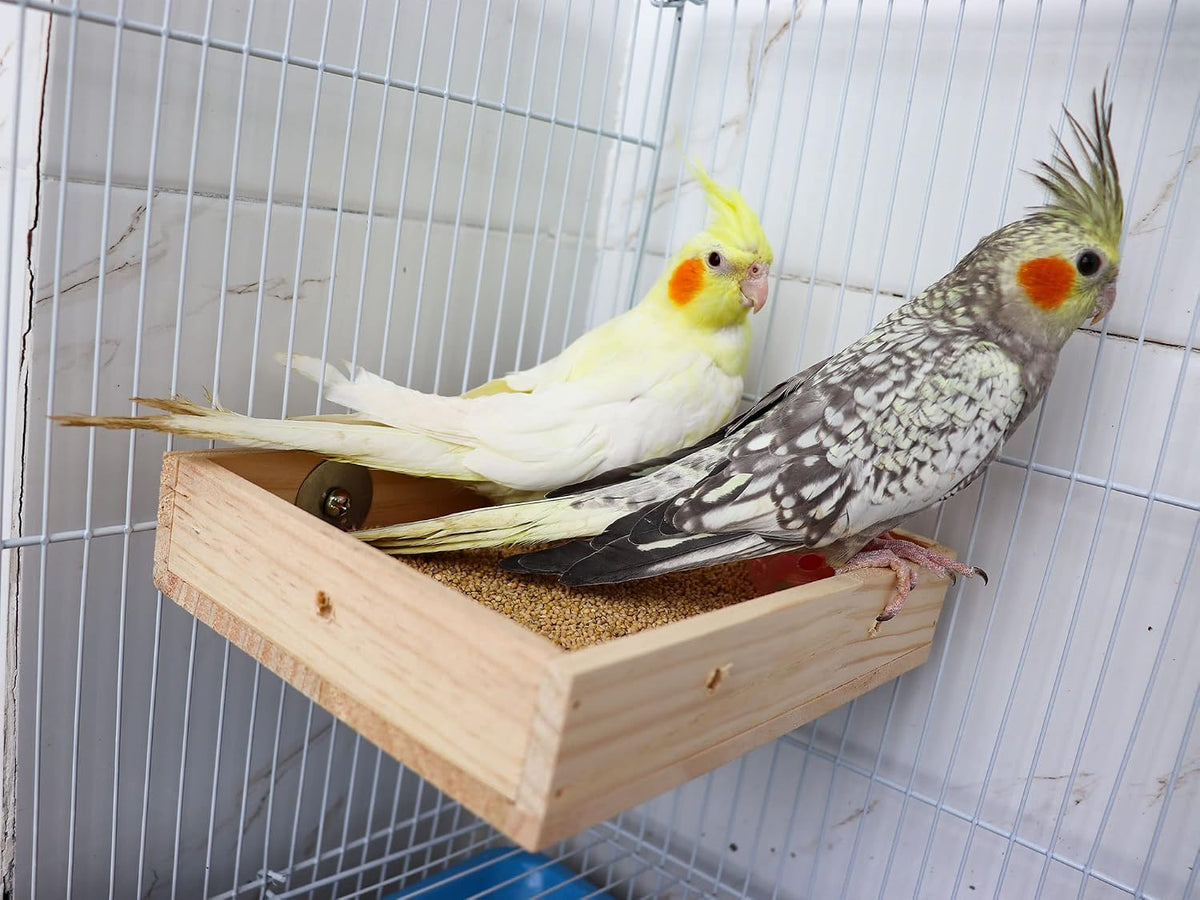 Bird Feeding Cups, Natural Wooden Parrot Perch Stand - 7.9 × 5.9 Inch - image 4