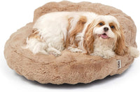 EHEYCIGA Soft Cat Couch Bed for Indoor Cats - 26"L x 26"W x 8"Th / Camel