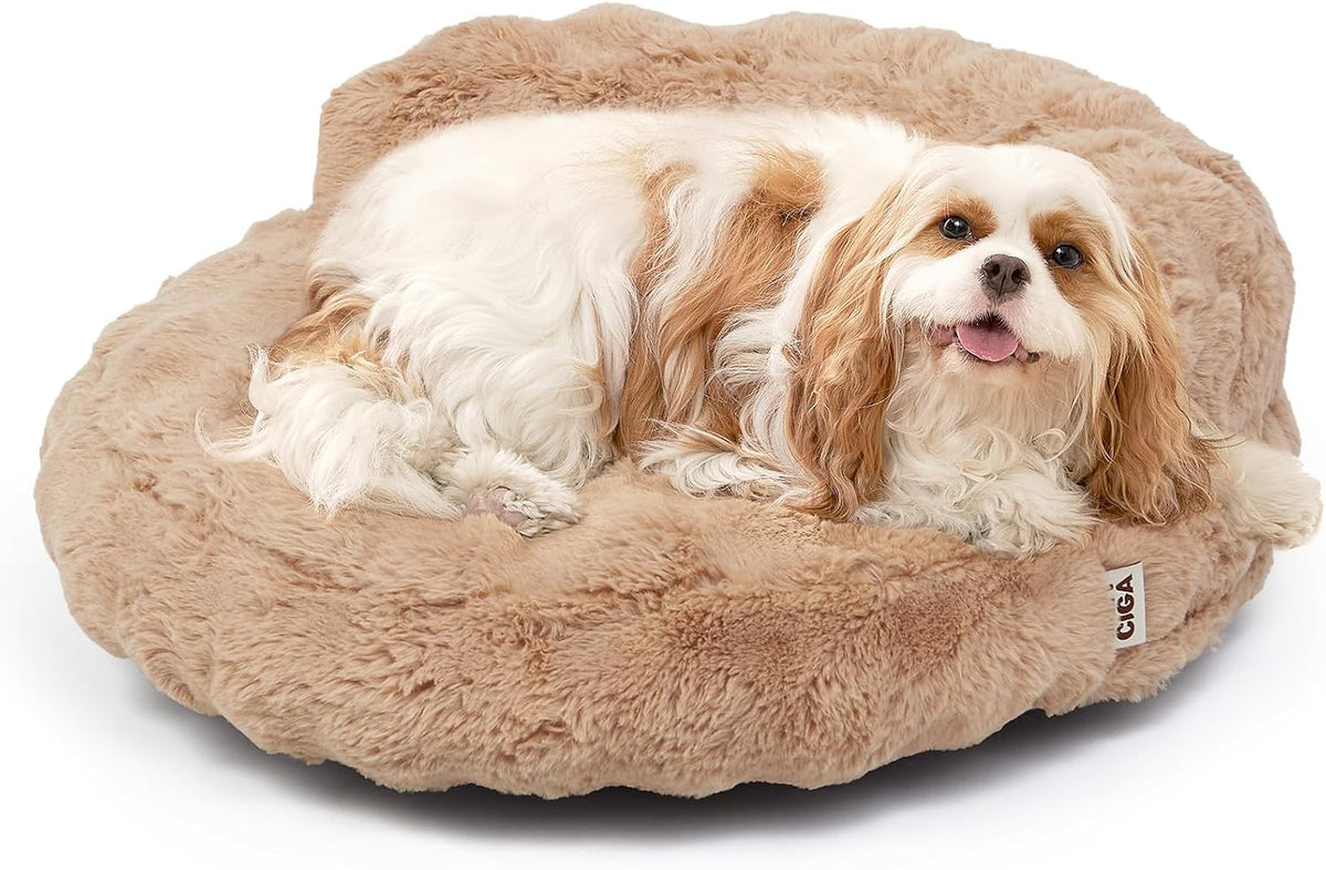 EHEYCIGA Soft Cat Couch Bed for Indoor Cats - 26"L x 26"W x 8"Th / Camel