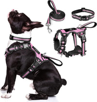 WINSEE Pet Harness Collar and Leash Set - Medium / Pink