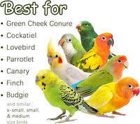 5-Pack Natural Flower Bird Toys – Foraging & Chewing Toys for Parakeets, Cockatiels, Conures & Small Birds – No Plastic, All-Natural Materials