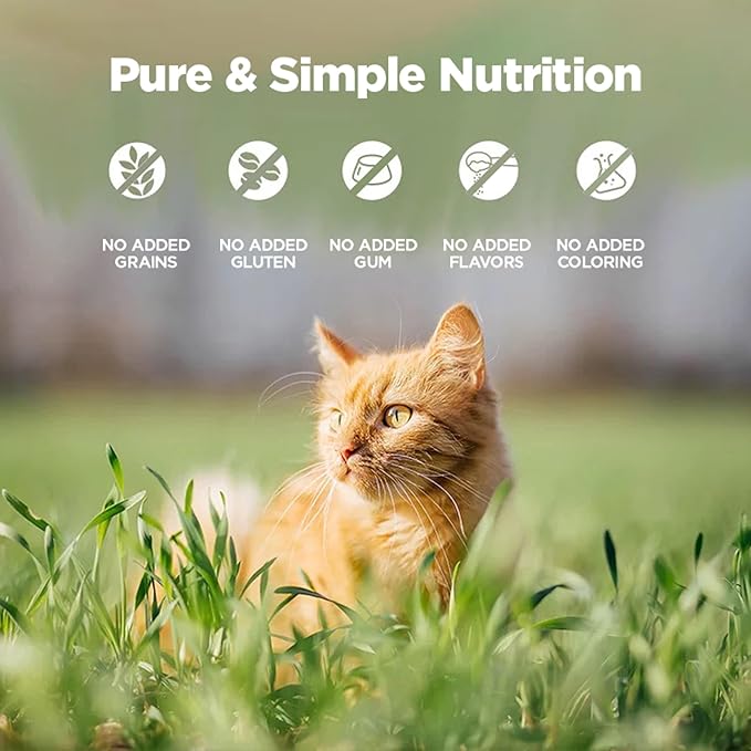ZEAL New Zealand Wet Cat Food – High Protein, Grain-Free with Superfoods (Chicken, 3.17oz Can, 24-Pack)