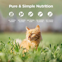 ZEAL New Zealand Wet Cat Food – High Protein, Grain-Free with Superfoods (Chicken, 6oz Can, 12-Pack)