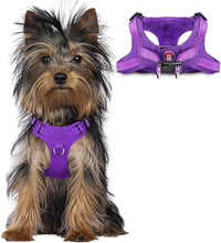 Dog Harness Step in Dog Vest Harness, Reflective Adjustable Puppy No Pull Harness Breathable Soft for Small and Medium Dogs Cats, Purple, XXS