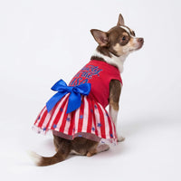 Fitwarm Birthday Girl Dog Tulle Dress - XX-Small / Pawty in the USA - image 3