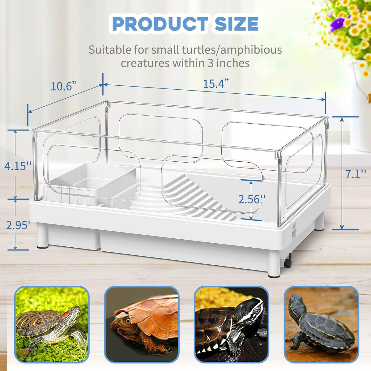 MoonOrange Small Turtle Tank Kit - White+Filter - image 4