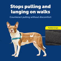 PetSafe Easy Walk Deluxe Dog Harness, No Pull Dog Harness - Medium / Ocean - image 3