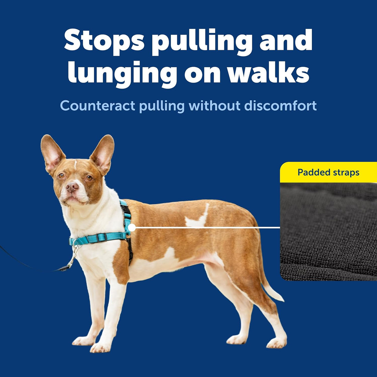PetSafe Easy Walk Deluxe Dog Harness, No Pull Dog Harness - Medium / Ocean - image 3