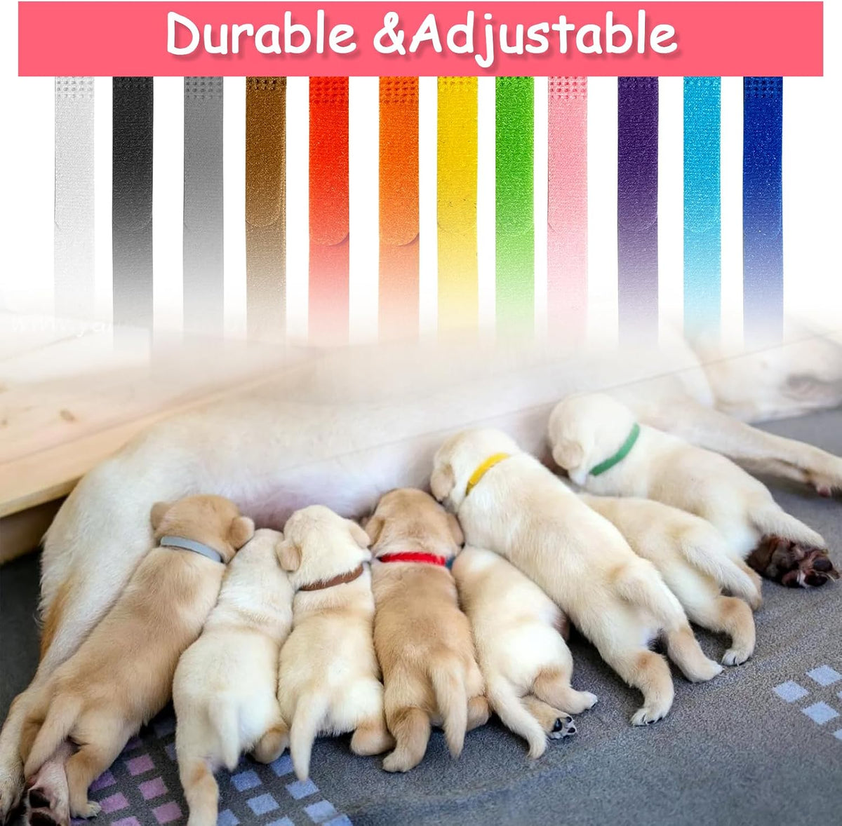 12 Colors Puppy Collars for Litter - L - image 3