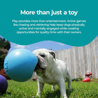 Jolly Pets Bounce-n-Play Dog Toy Ball - Blueberry / Medium (6 in) - image 4